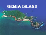 gemia