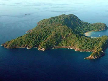 tenggol
